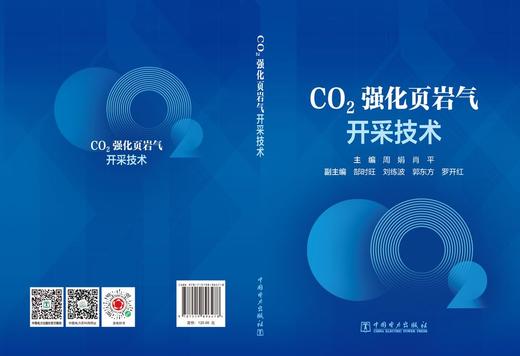 CO2强化页岩气开采技术 商品图2