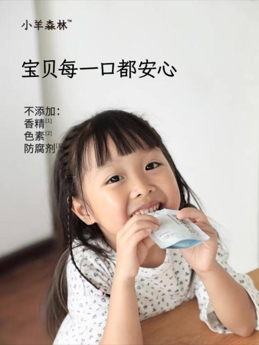 【小羊森林-春节零食套组】儿童零食健康小吃营养孩子（包含礼袋） 商品图2