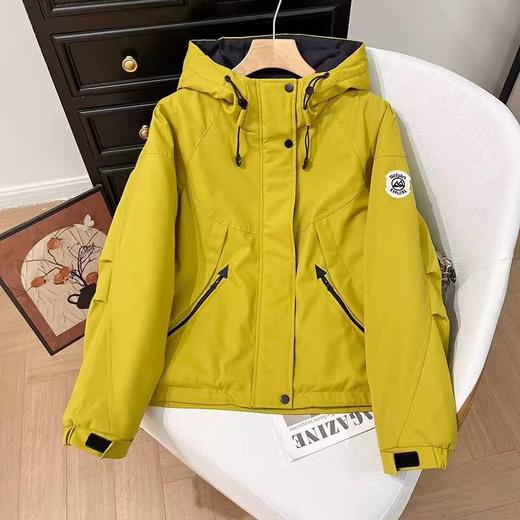 F010429连帽新款加绒保暖休闲羊羔毛派克服外套休闲服 商品图3