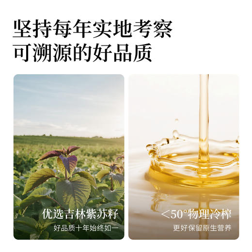 全食物日记 有机紫苏籽油50ml 商品图1