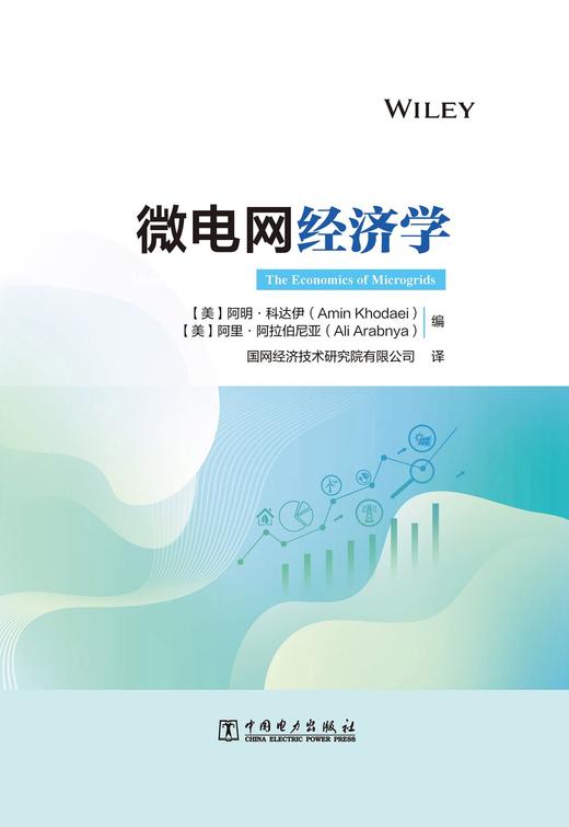 微电网经济学（The Economics of Microgrids) 商品图1