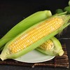 【果粒香甜】金银双色水果玉米 净重3/5斤 单果300g+ 颗粒饱满鲜嫩多汁 商品缩略图5