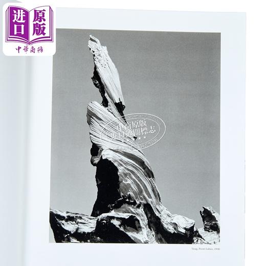 预售 【中商原版】Edward Weston：The Flame of Recognition 进口艺术 爱德华 韦斯顿摄影集 认可之火 商品图2