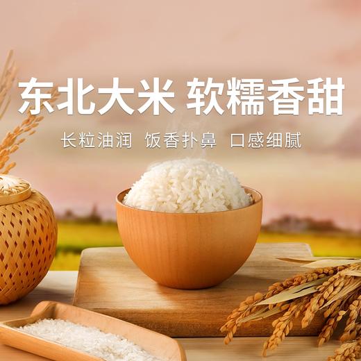 【苏达康牌碱地长粒香米】筋糯爽口 米粒油亮 煮饭煮粥都好吃 商品图0