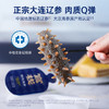 【鲜炖海参】官栈鲜炖即食大连海参辽参滋补合集 顺丰包邮 商品缩略图4