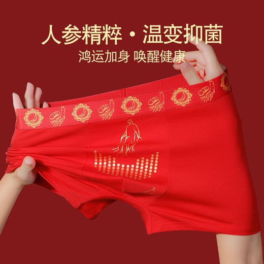 新热卖！2026红马年【天材四宝红内裤】人参 虫草 海马 鹿茸 精美礼盒 独立包装！ 商品图4