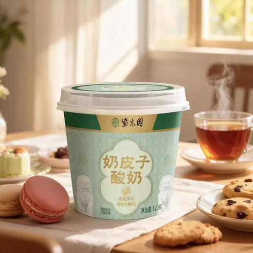 【北京紫光园奶皮子酸奶】风味发酵乳，乳酪一样的酸奶，牛奶乳制品即食礼盒 商品图5