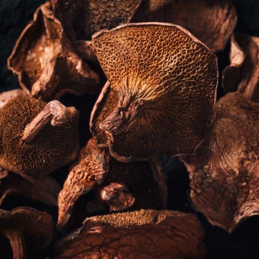 云南纯野汤菌集：八种本土野生菌 原始森林的记忆被收录在每朵蘑菇里（云南昆明中通发货） 商品图5