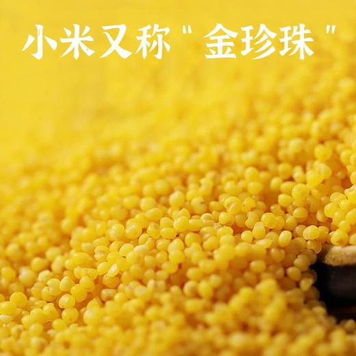 优选丨盖亚农场【内蒙古黄小米】1.25kg  盖亚农场-昌旺【有机五常大米】2.5kg  盖亚农场【紫薯黑米粥】900g 商品图3