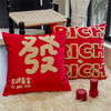 【品牌直发】加倍生活 国潮马年RICH沙发抱枕 6色可选 45x45cm 小马新年喜庆节日团购礼品靠垫抱枕  马年限定系列 春节焕新季 商品缩略图1