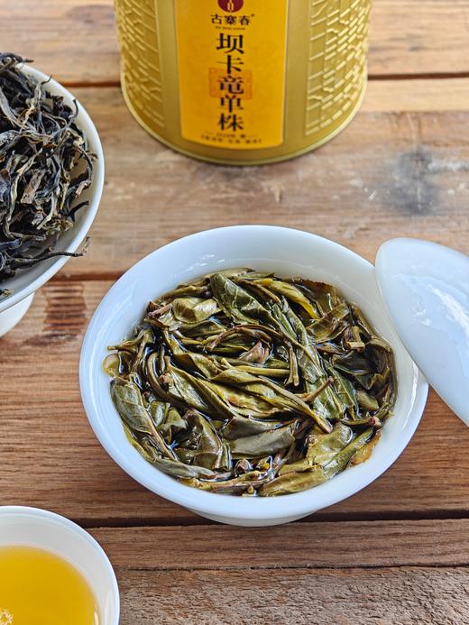 【坝卡竜单株散茶】2024年坝卡竜300年以上大古树，古掌柜自己留存的高货，全部分享；后期不会再有！50g/罐第二罐半价 商品图4
