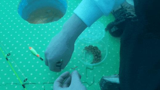 【1月17/18日】冬季限定丨超适合家庭出游的冰钓体验，这个冬天一定要带娃儿去试试~ 商品图3