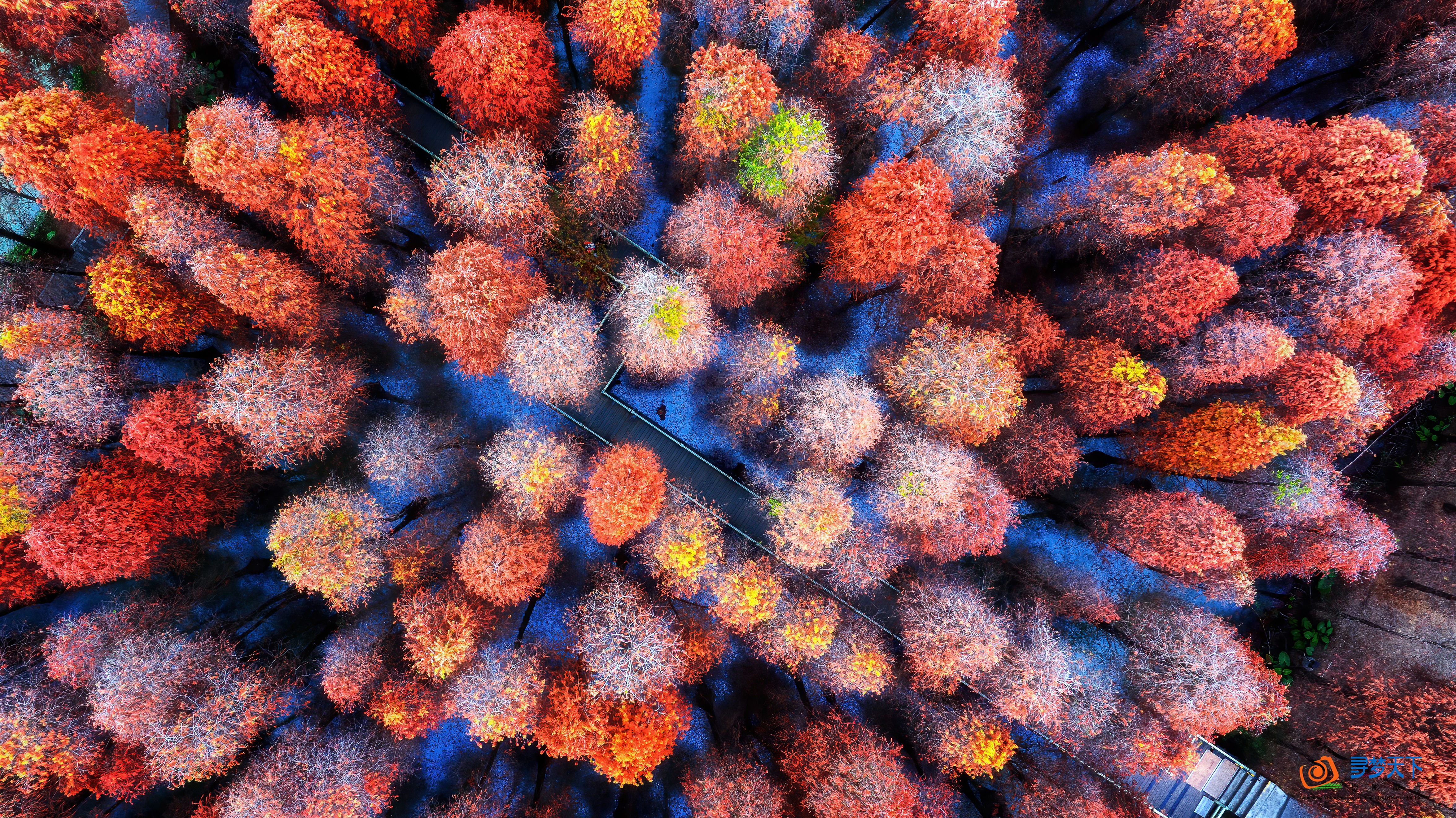 1月20日【肇庆】漫步星湖公园 邂逅鹭鸟天堂1天