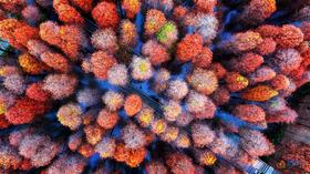 1月20日【肇庆】漫步星湖公园 邂逅鹭鸟天堂1天