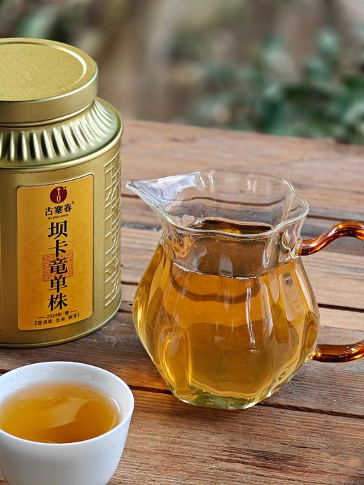【坝卡竜单株散茶】2024年坝卡竜300年以上大古树，古掌柜自己留存的高货，全部分享；后期不会再有！50g/罐第二罐半价 商品图0
