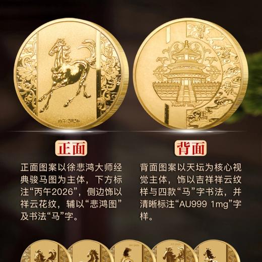 热卖中！徐悲鸿奔马纪念典藏版(72小时内发货） 商品图4