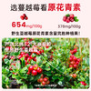 【有机野生蔓越莓原浆】大兴安岭野生蔓越莓，有机认证，补充VC和花青素 一袋滋养一整天 商品缩略图1