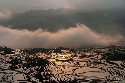 元阳梯田“灌水期”（多依树、老虎嘴、坝达、蓝梯田）5天精品摄影团 商品图1