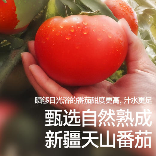 [任选3件] 秋田满满调味品合集  番茄沙司60g/山楂糖醋汁50g/鱼香肉丝酱汁50g/果蔬咖喱酱50g/山药松茸鲜蒸肉粉30g/照烧汁50g   [3岁+] 商品图8