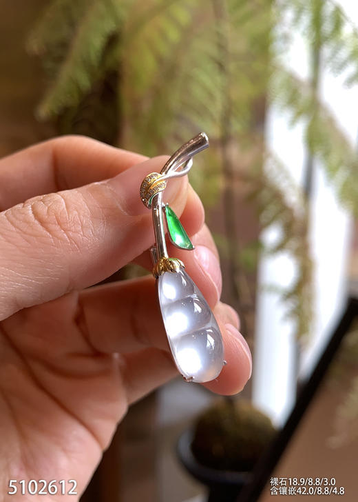 5102612，福豆胸针。具体价格微信咨询 商品图0