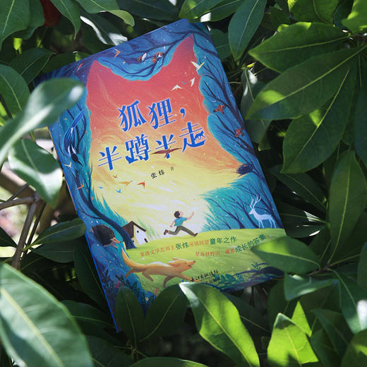 狐狸，半蹲半走 商品图3