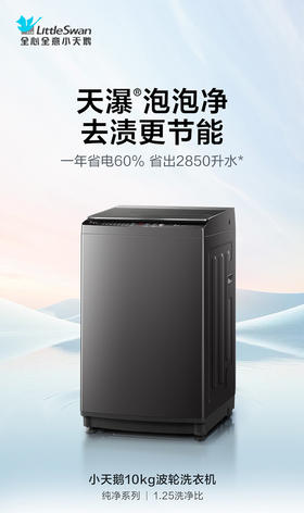 小天鹅波轮洗衣机大容量家用全自动8/10/12KG变频26DT  TB100V26DT 10kg金属钛