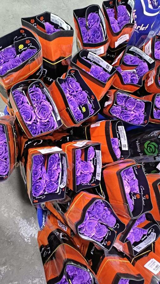 厄瓜多尔进口染色SWEET LAVENDER甜蜜薰衣草玫瑰10支 商品图8