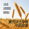 秋田满满软白营养低筋粉1kg袋装/绵韧营养中筋粉1kg    3岁+ 商品缩略图5
