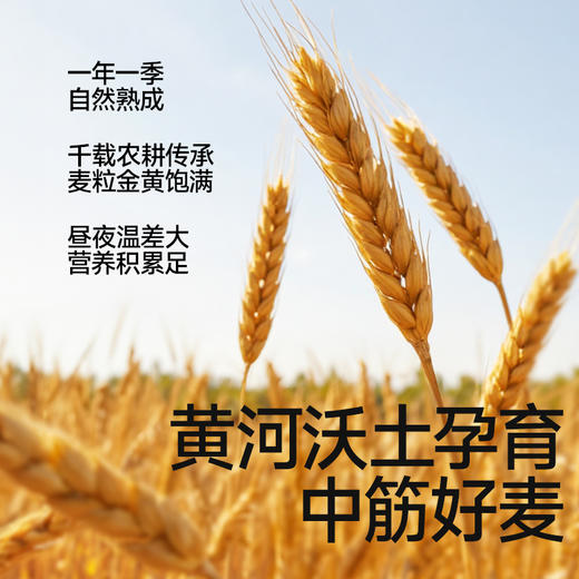 秋田满满软白营养低筋粉1kg袋装/绵韧营养中筋粉1kg    3岁+ 商品图5