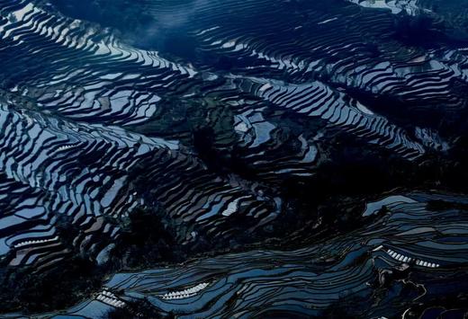 元阳梯田“灌水期”（多依树、老虎嘴、坝达、蓝梯田）5天精品摄影团 商品图5