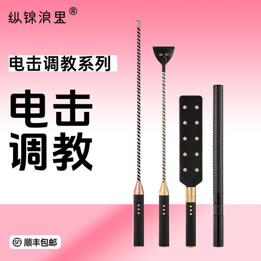 房趣roomfun情趣电击调教系列 拍打电击 安全电流不伤身 商品图0