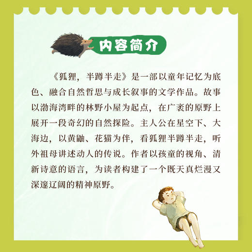 狐狸，半蹲半走 商品图2