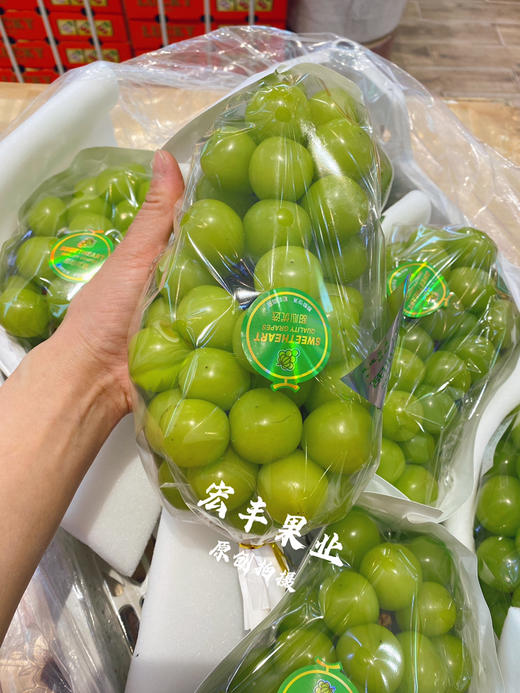 宏丰精选  特级阳光玫瑰，口感纯甜，活动价12.8元一斤 商品图2