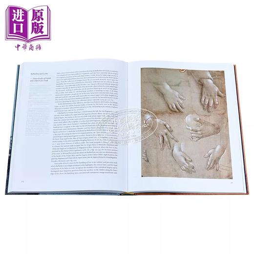 【中商原版】Leonardo Durer 进口艺术 莱昂纳多 丢勒 彩色底色上的文艺复兴杰作 商品图6