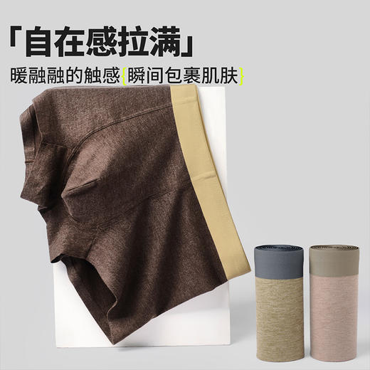 【樱姿娜】男士秋冬纯棉内裤-500 商品图4
