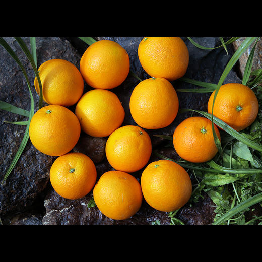 【限量甄选！春节前最后100箱】生态土、生态水、有机肥、自然果香 核心产区 赣南寻乌脐橙10斤装 商品图7
