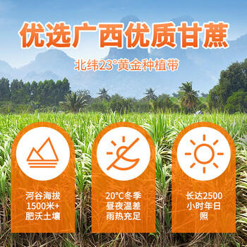 南字牌冰片糖金黄糖片454g 广东老字号 煲汤熬粥木薯糖水调味 黄片糖 /粮油调味 /调味品 /糖 商品图1