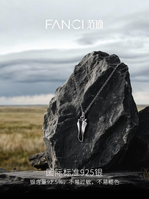 Fanci范琦 马首系列以梦为马银曜石项链轻奢2026新款送男生日礼物 商品图2