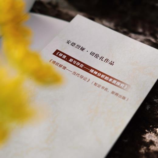 万千心理·移情、爱与存在：精神分析的本质探究 商品图6