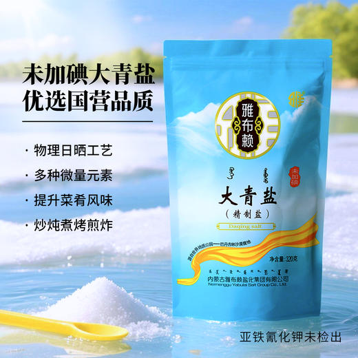 【0317早市】【颗粒均匀】雅布赖 大青盐未加碘 320g/袋 质白无杂 商品图0
