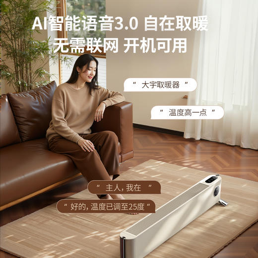 大宇石墨烯踢脚线取暖器家用烘衣架冬季神器T2311AYV 商品图1