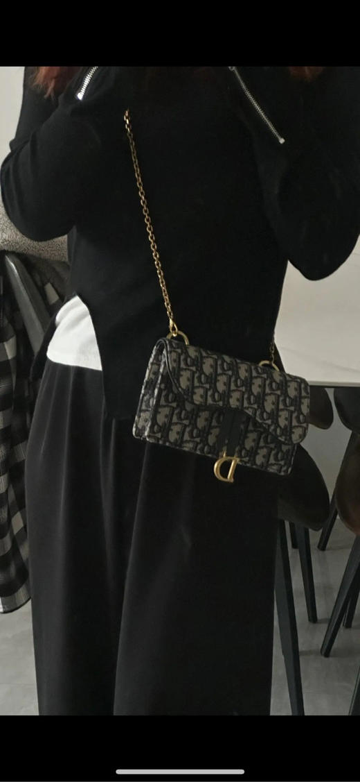 Dior 二合一 老花 woc 马鞍包 商品图2