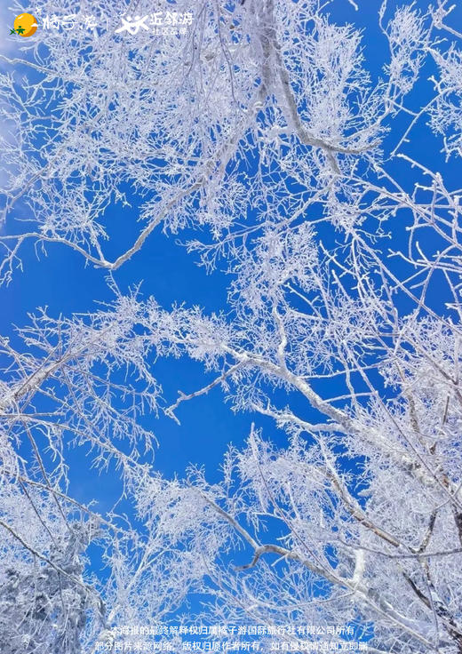 【冰雪北国·雪原万象东三省】7天游 商品图2