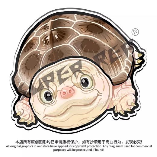 冰箱贴 龟⑨ 侧颈龟主题为主 磁吸 Q版 卡通 爬宠爬虫周边 super rep超爬正版【48小时发货】 商品图7