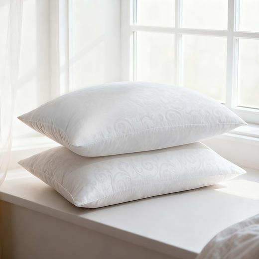 水星臻选臻享抗菌对枕 商品图2