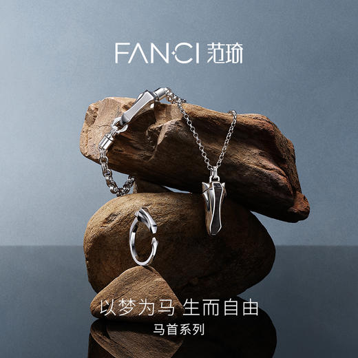 Fanci范琦 马首系列以梦为马戒指2026新款新年送男友生日礼物 商品图1