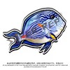 冰箱贴 鱼② 海水鱼观赏鱼主题 磁吸 Q版 卡通 水族鱼海洋鱼 周边文创 super rep超爬正版【48小时发货】 商品缩略图4