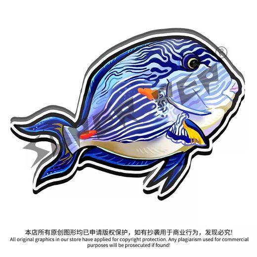 冰箱贴 鱼② 海水鱼观赏鱼主题 磁吸 Q版 卡通 水族鱼海洋鱼 周边文创 super rep超爬正版【48小时发货】 商品图4