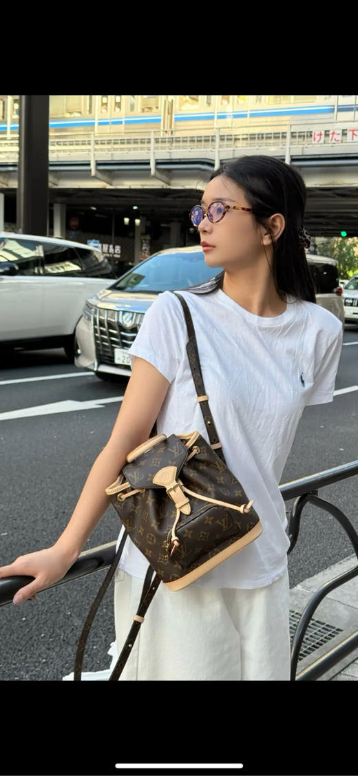 LV Montsouris Mini 双肩包 商品图2