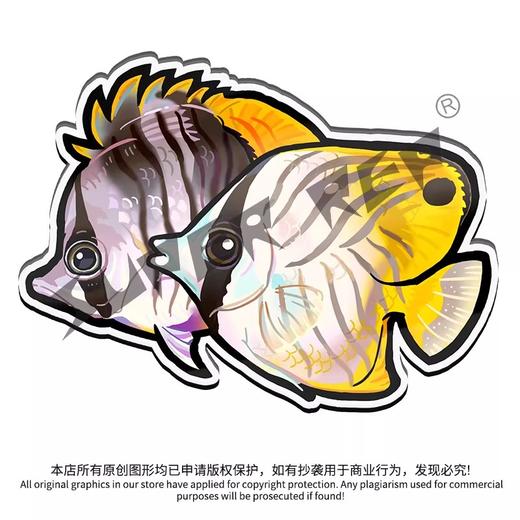 冰箱贴 鱼② 海水鱼观赏鱼主题 磁吸 Q版 卡通 水族鱼海洋鱼 周边文创 super rep超爬正版【48小时发货】 商品图5